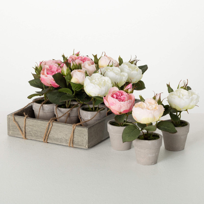 Arrangement de roses