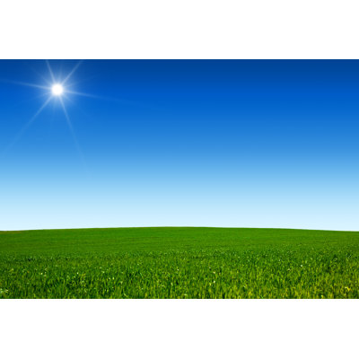 Sunny Field by Ineskoleva - No Frame Art Prints on Canvas