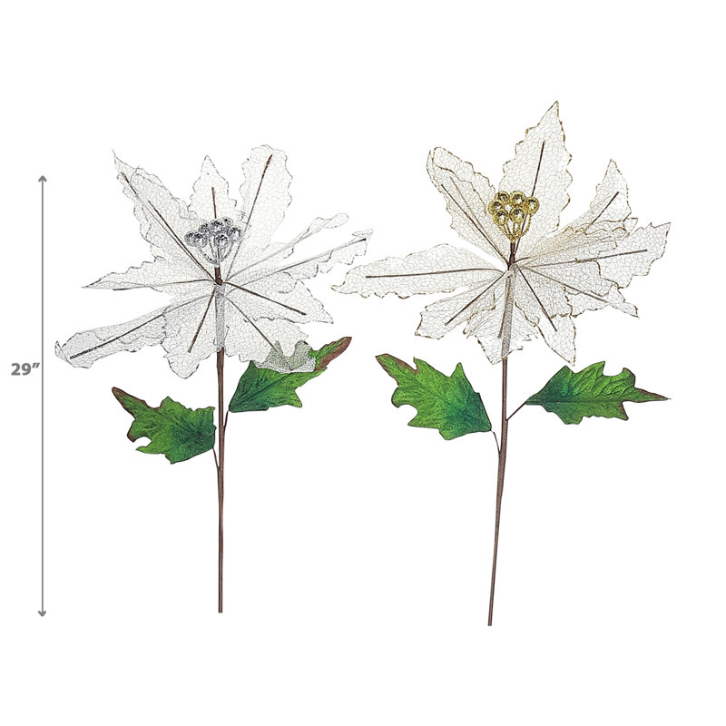 Tiges de poinsettia à paillettes nettoyées - ensemble de 6, Transparent