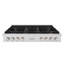 ZLINE 48 in. Paramount Gas Rangetop with 8 Burners in DuraSnow® Stainless Steel