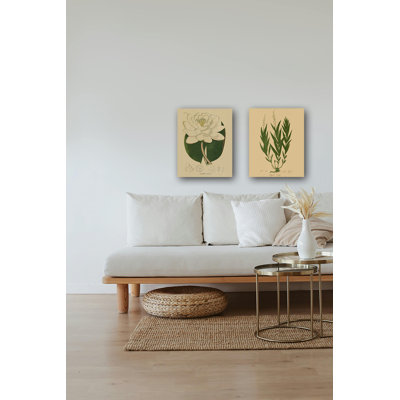 Herbal Botany Study 2 by Skylar