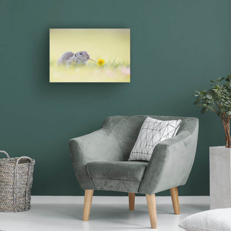Art sur toile «Rhin Henrik Spranz», H 30 po x l 47 po