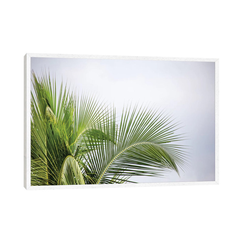 Palm Tree by Mark Paulda - Print on Canvas, White Framed, 66.04 cm H x 45.72 cm W
