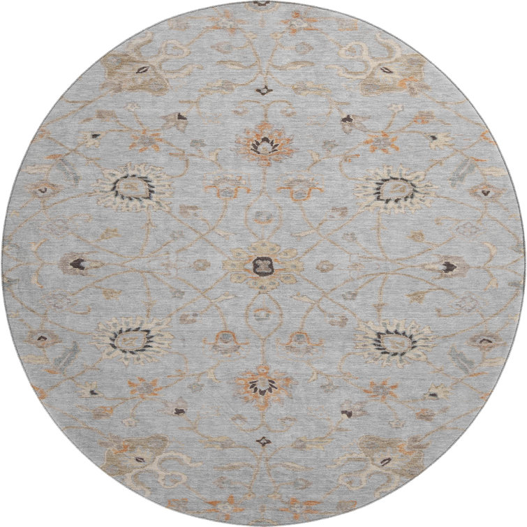 Premium Machine Washable Krause AMF1137 Global Rug