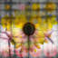 Parvez Taj - Wrapped Canvas Print-15986928
