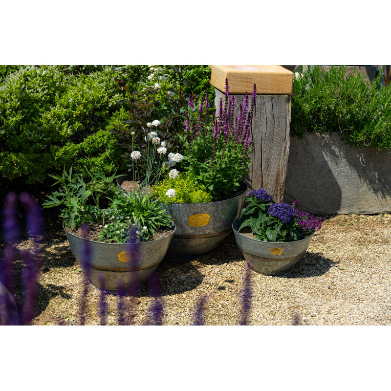 Eickhoff Metal Pot Planter, 28cm H x 54cm W x 54cm D
