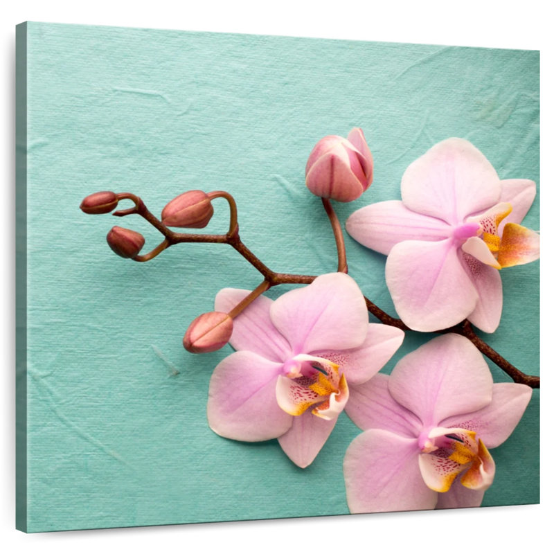 Orchidées roses pâle Harnek, H 20 po x l 20 po