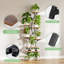 Plant Stand