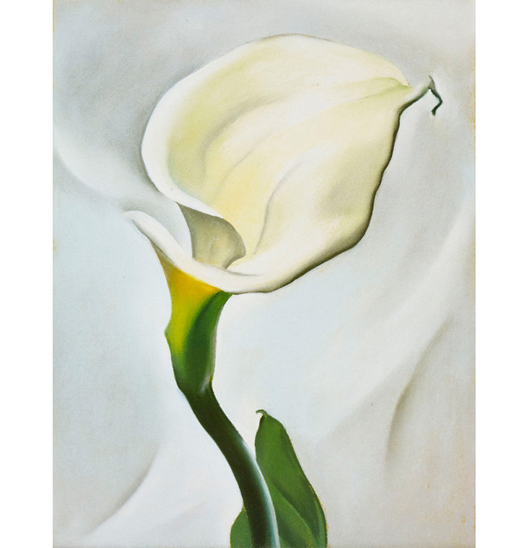 Calla Lily se détourna, H 36 po x l 28 po