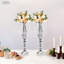 Toiles de fond et enseignes-97872271-97872270