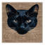  Tapis lavable Bombay Cats-1773370523