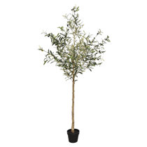 5 ft to 6 ft Olive Tree Faux Trees You'll Love