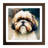 Shih Tzu Polygon No.1 - Single Picture Frame Print on Wood-125921106