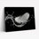 Feather Splash, reproduction d'art sur toile, ensemble de 1