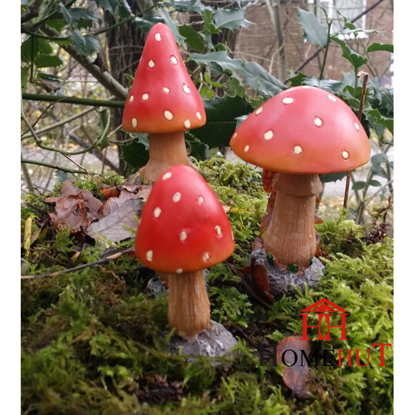 Toadstall | Wayfair.co.uk