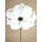 Abstract Color Splash Flower - White Flowers Canvas Art Decor