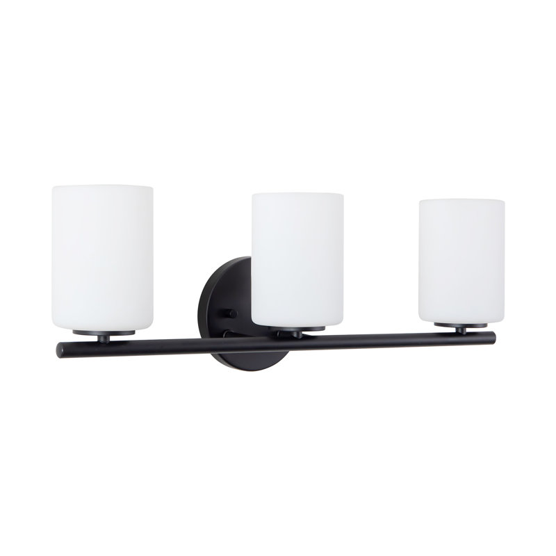 Ezra 22-in Black dimmable Bathroom Vanity Light