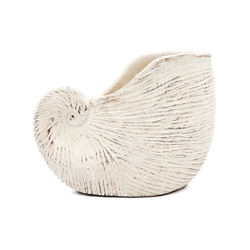 Textured Beige 8.5X5.5X6.3 Inches Sand And Cement Shell Planter, Suitable For Hyacinth Planting Planter With Surface, Great Displays
