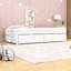 Lit de jour simple avec deux tiroirs Casstown-1294573897