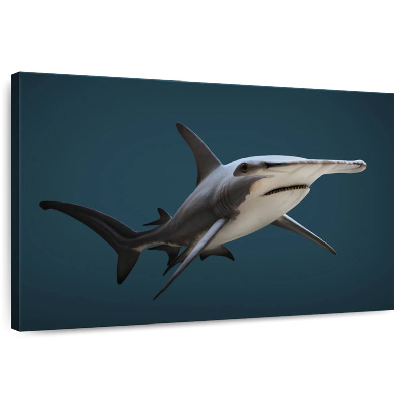 Crowle Great Hammerhead Shark, 32" H x 48" W