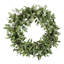 Seeded Eucalyptus Wreath-2052375129-2052378934