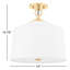 1 - Light Semi Flush Mount