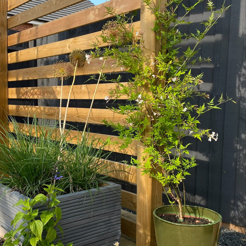 Aristes Solid Wood Pergola, 11.8 ft x 15.7 ft