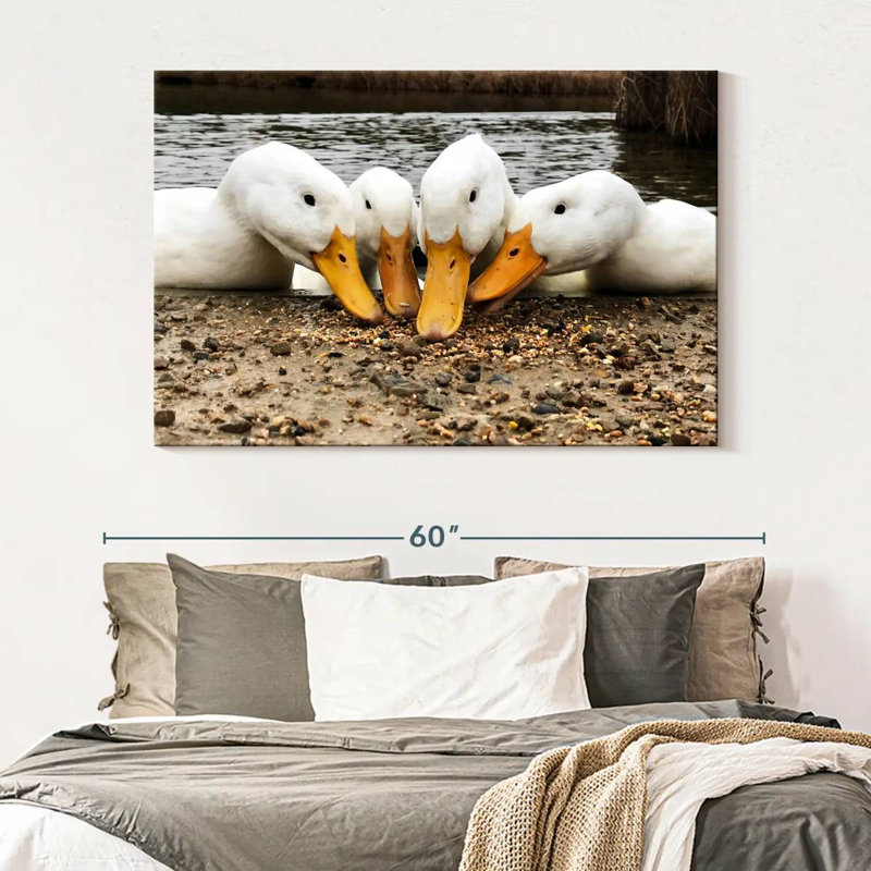 Pekin Ducks de Brampt, H 34 po x l 51 po