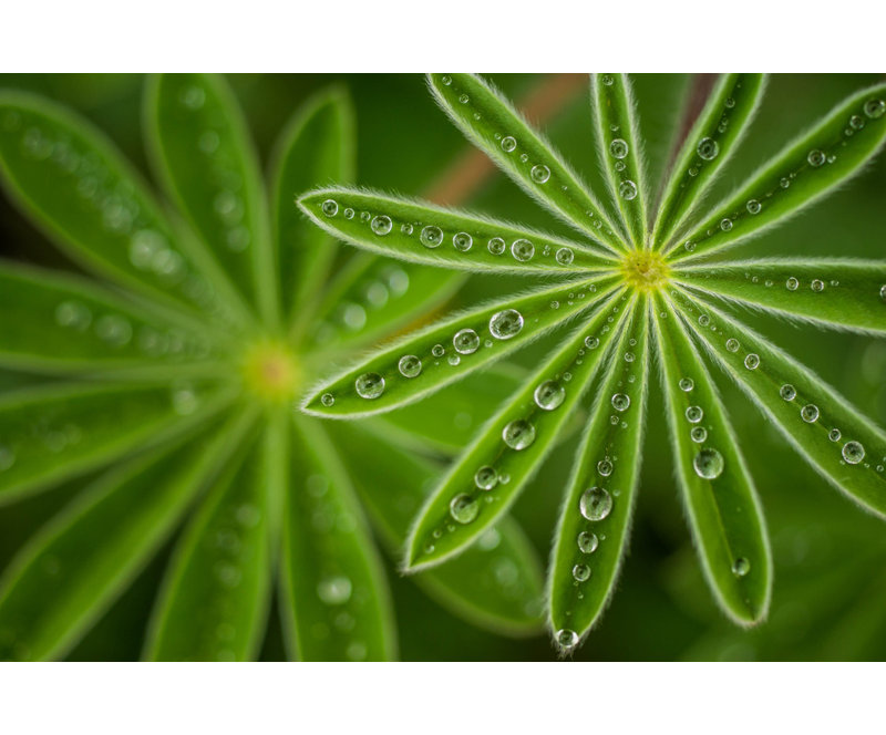 Wrapped Canvas Print, 50.8 cm H x 76.2 cm W