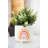 9.5'' Faux Eucalyptus Plant in Ceramic Planter
