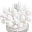 Petite sculpture en corail texturé blanc Bernardus