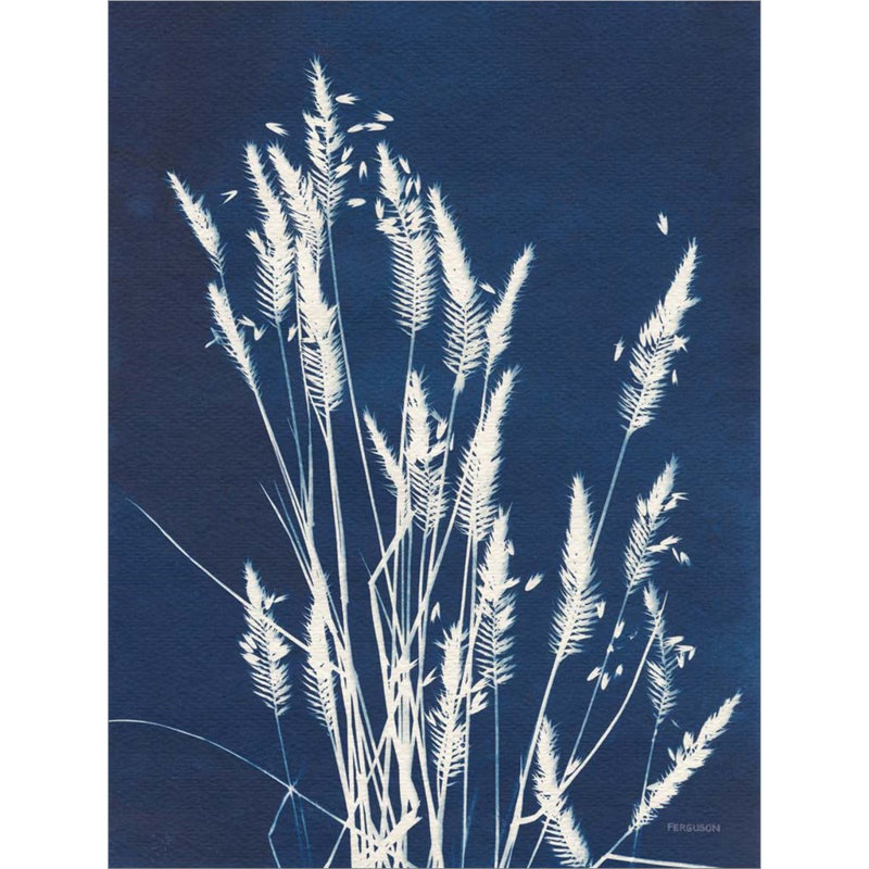 «Ornamental Grass III» par Kathy fergolson, art graphique encadré
