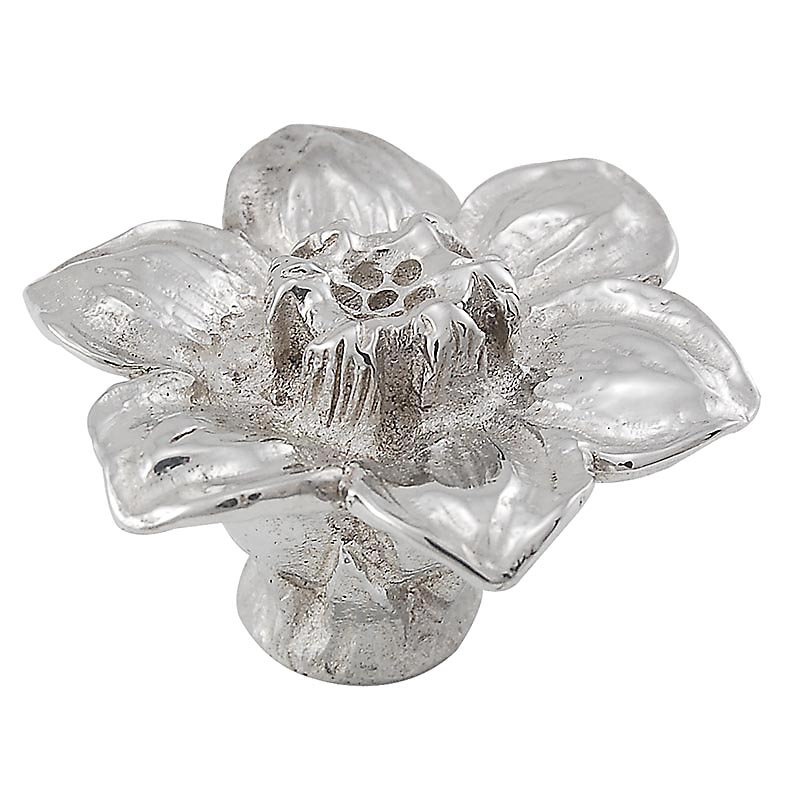 Carlotta Novelty Knob, Polished Nickel