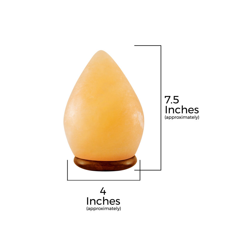 Lampe sel 5 lb Pasternak