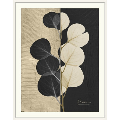 "Manigault" Eucalyptus Leaf X-Ray par Kiranjit, reproduction de photo