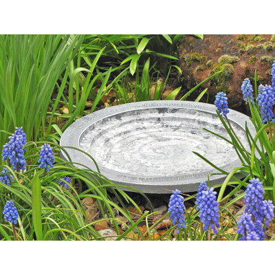 Aymir Clay Single Tier Birdbath