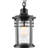 12.4'' Hardwired Outdoor Hanging Light