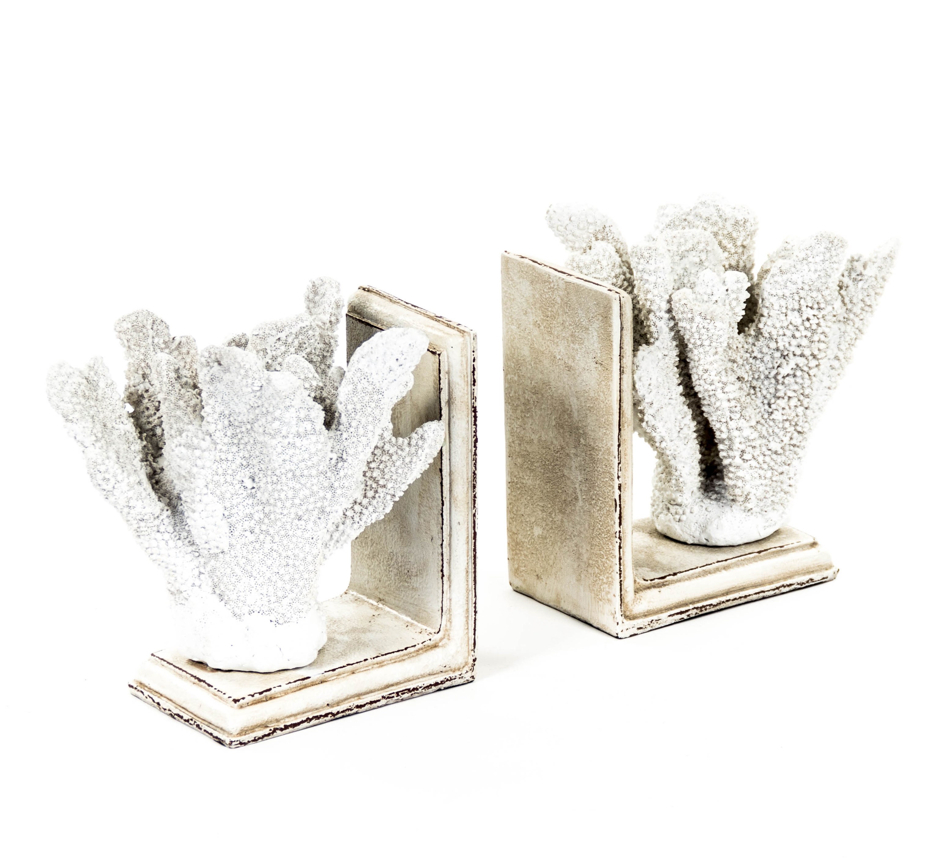 Zentique Coral Bookends & Reviews | Wayfair