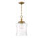 Pinedale 1 - Light Single Bell Pendant in Natural Brass-1390480727