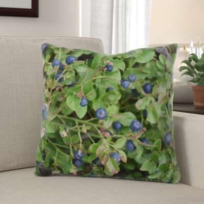  Housse de coussin carré et insert