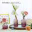 Ensemble de 12 vases Bud-1576442140