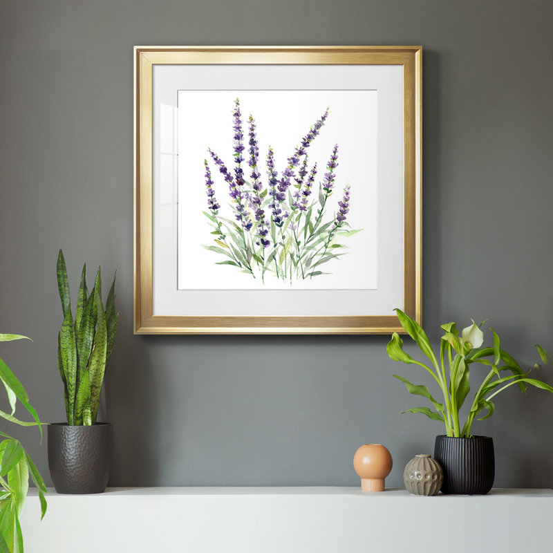 Lavande botanique I - peinture encadrée, H 17,5 po x l 17,5 po x P 1,5 po, Toile encadrée d'or