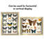 Delcastillo Shadowbox 1.5” Deep Box Frame for Objects with Glass Front-255324612-252754843