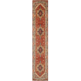 Oriental Area Rug in Rust