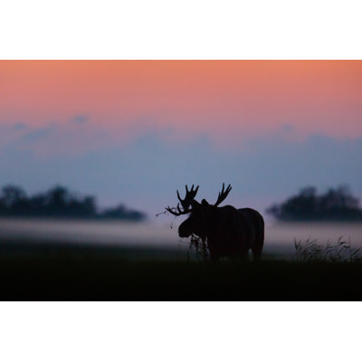 Twilight Hour by Urmas - Wrapped Canvas Print