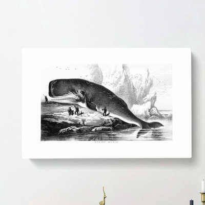 Hunted Sperm Whale by John Karst - Wrapped Canvas