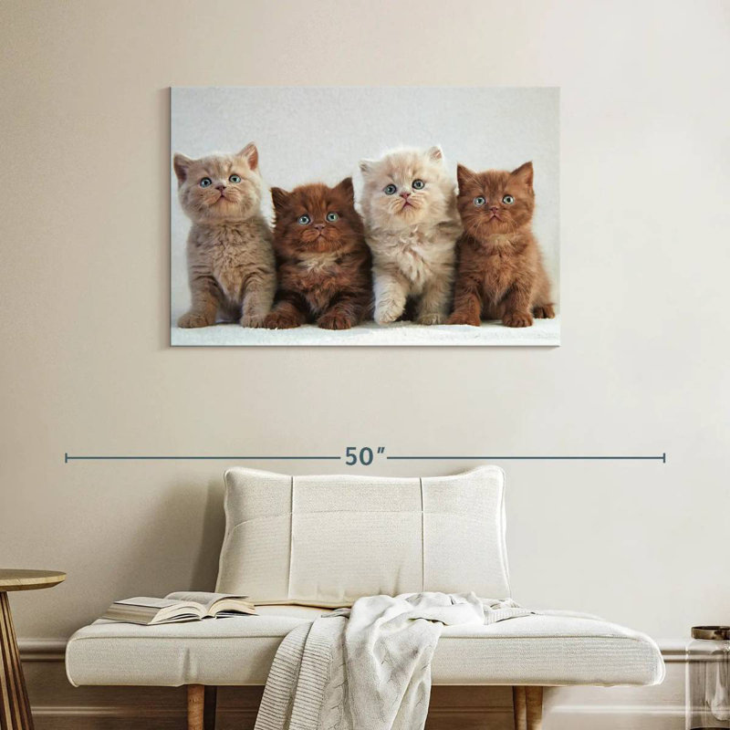 British Shorthair Cats, 26" H x 39" W
