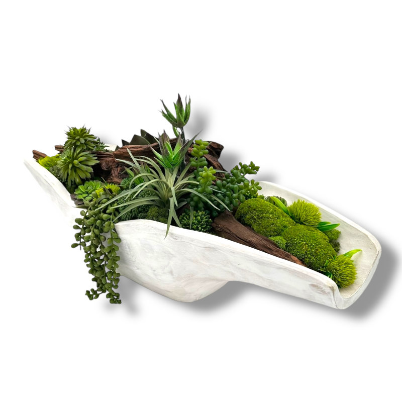 Design succulent dans un vase allongé en bois blanc cassé