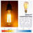 ST64INC-6 60 Watt, ST64, Dimmable Light Bulb, Warm Amber (2700K) E26/Medium (Standard) Base (Set of 6)