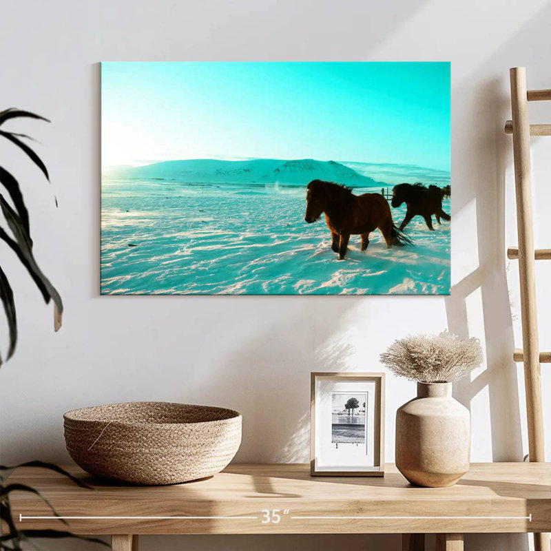Brampt, chevaux islandais, H 16 po x l 24 po